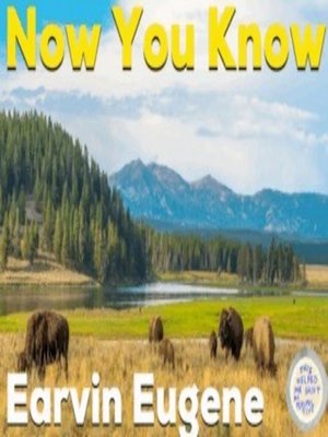 cover image of Now You Know